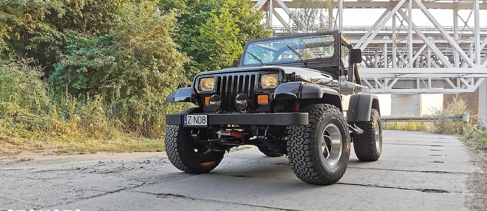 Jeep Wrangler cena 159900 przebieg: 130000, rok produkcji 1991 z Dobra małe 211